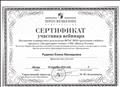 Сертификат участника вебинара 2016 г. Сертификат участника вебинара 2016 г.