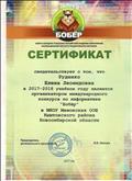 Сертификат организатора международного конкурса по информатике "Бобер" Сертификат организатора международного конкурса по информатике "Бобер"